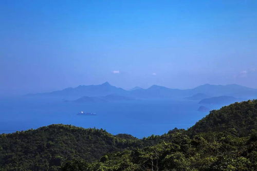 坪山马峦山天桥底下可以免费停车吗 (坪山区马峦山停车场收费标准)