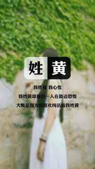 姓氏手机壁纸 看看有没有你的姓氏 200 张 