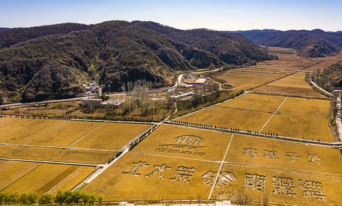 北大荒携手南泥湾 千亩水稻喜获丰收