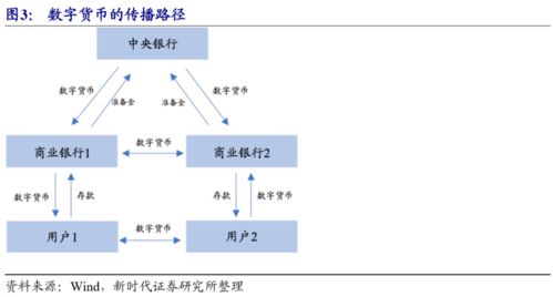 币圈1u是多少、u在数字货币交易中的作用