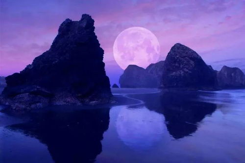 关于美丽月光的诗句有哪些