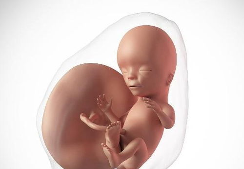 原创胎动时左时右，是怎么回事？看完后或许就有“答案”了！