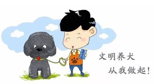 整治12种不文明行为,让文明养犬有法可依丨萍乡两 条例 下月起施行