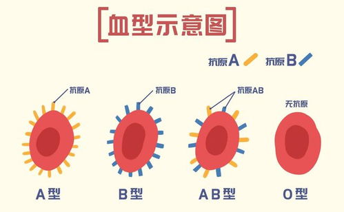 血型竟然暴露了你的患癌风险 哪种血型癌症发生率最低