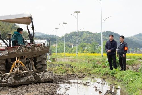 守护耕地 跟着 田长 去巡田