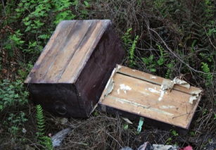 四川两女孩钻进木箱 躲猫猫 被发现时尸体已腐烂 