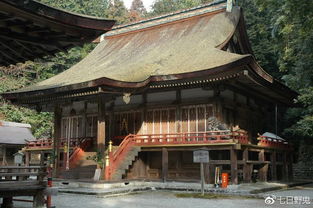 日本神社文化,带你看懂神社中本殿的种类和建筑