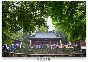 杭州西湖的岳王庙,来过吗 