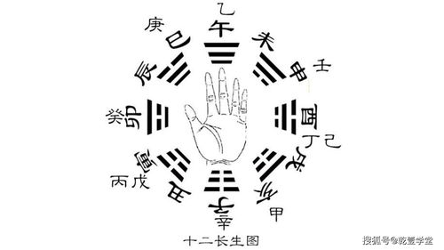 <h3>八字排盘十二长生怎么看(八字长生十二宫位详解)