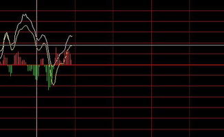 通达信大盘分时走势中间那个是什么指标?