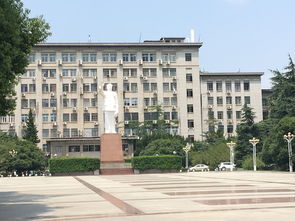 上海有哪些计算机大学排名