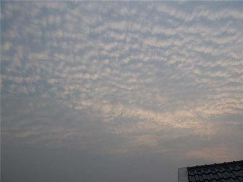 担忧 郑州天空出现 鱼鳞云 ,是自然现象还是地震前兆