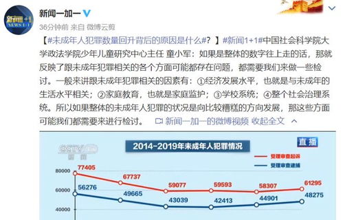 未成年人犯罪数量回升,专家分析原因 与未成年人生活条件 家庭教育 整个社会系统等都有关系