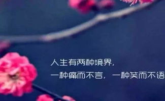 人生无须过于执着,人这一辈子,无非就是个过程