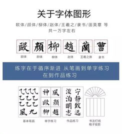 书法投影台灯,练字与打格神器,送10000字胶片