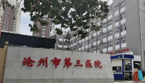 专科起报 河北省沧州市第三医院,招聘公告 含护理16名