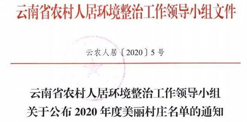 美丽乡村的整改报告范文,城乡治理问题清单及整改？