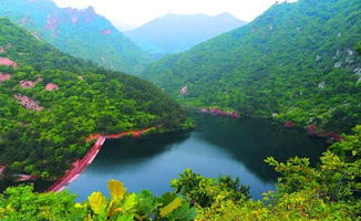 河南洛阳嵩县天池山