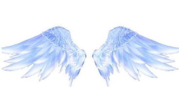 十二星座专属梦幻翅膀,水瓶座冰蓝羽翼,双鱼座美的移不开眼 