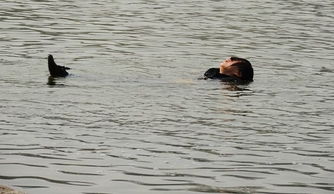 小伙公园跳湖救落水女子 被称 西安正能量 