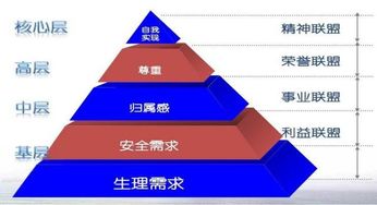 连锁性公司如何股权设置和公司运作