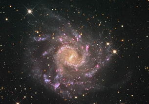 螺旋星系NGC 3981的惊人细节 