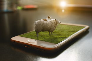 3dmax怎么制作羊羔绒(3d模型怎么渲染效果图)