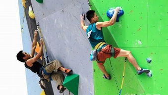 江西应用技术职业学院8名学子将参赛中国攀岩队亚运会