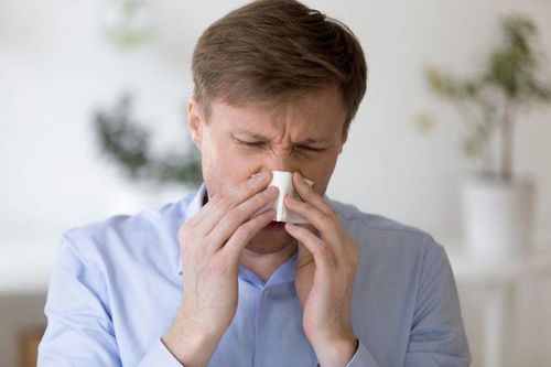 鼻炎老是反复发作 这5种不同类型的鼻炎,认清之后才能对症治疗