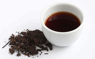 每天喝普洱茶能减肥吗