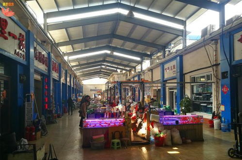 大明湖西南门,济南最大的水族宠物市场,你去过吗