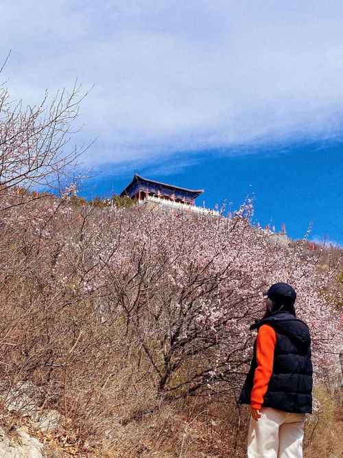 我找到了全北京最好玩的山地滑车,登山徒步 