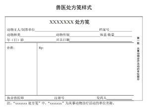 附件1的格式及范文-附件的标注方法？