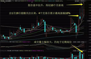 青松建化为何不涨反跌