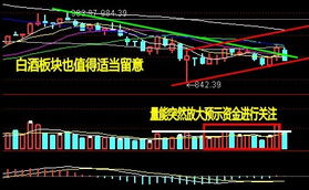 下周什么板块有机会赚钱?