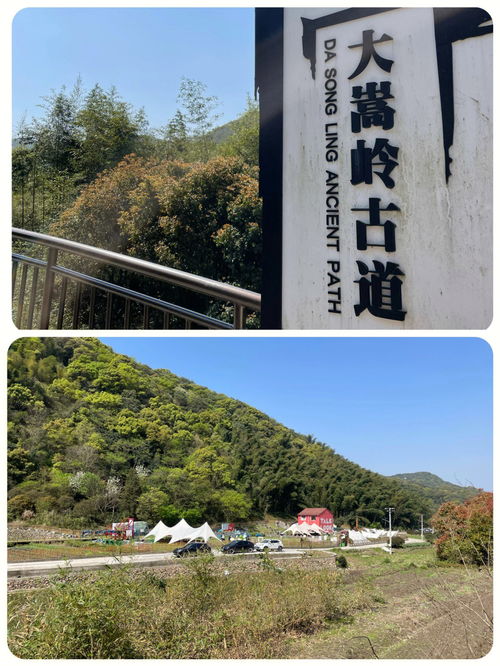 宁波亲子徒步 东钱湖福泉山 