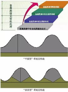 土壤健康必须满足这5个条件