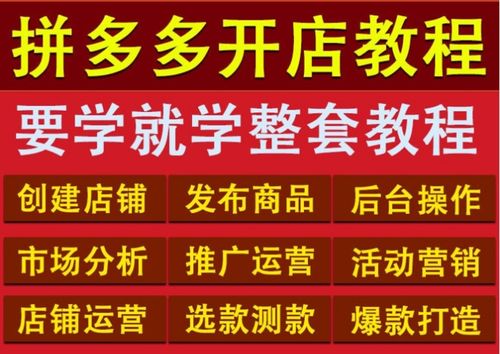 拼多多无货源软件拼多多无货源,广东自动加价大象选品