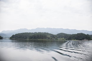 水岛畅快游 体验龙水湖里巴适的夏天