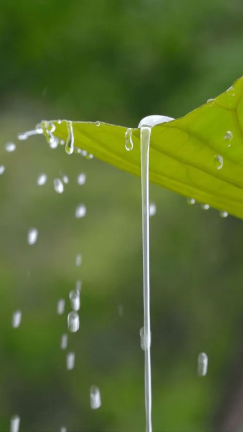 春天的小雨AABB词语(形容“四季的雨”的词语有哪些？)