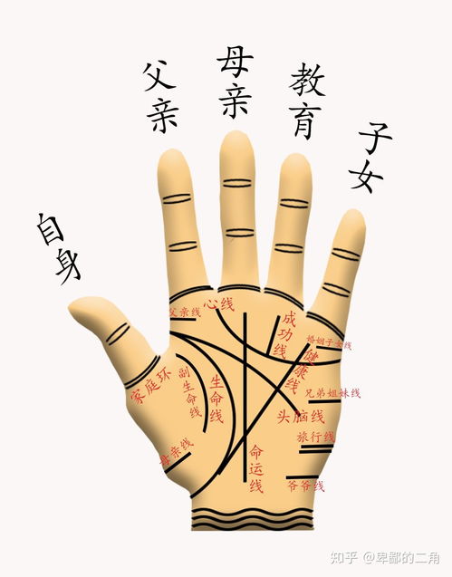 手掌金星丘红痣手相,谁会看手相。手相来说。手掌出现种红点代表什么