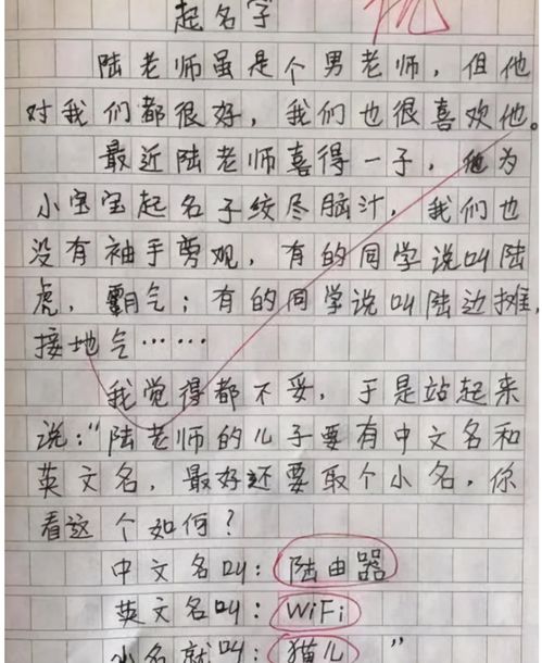 小学生作文 什么是成功男人 走红,全文是 内涵 ,老师给满分