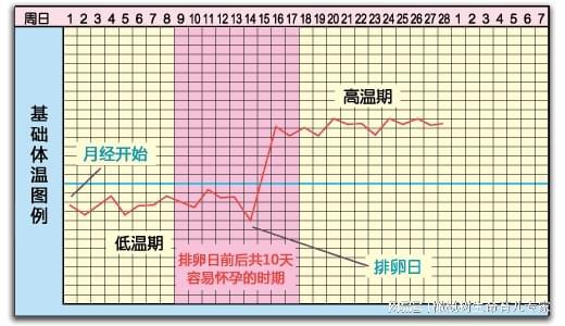 月经规律但卵巢不排卵,为什么