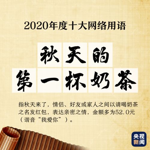 2020年度 十大流行用语 十大网络用语