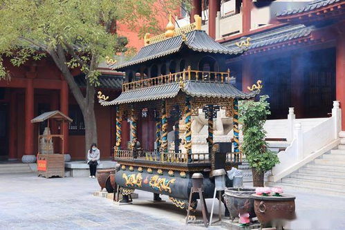 郑州过年烧香,就到这2座灵验寺庙,免费且公交直达
