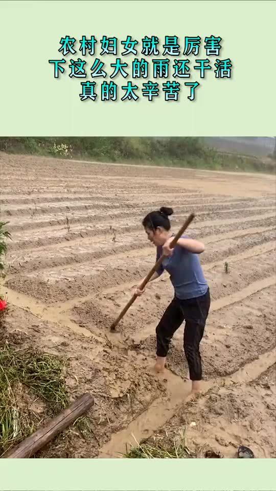 农村妇女就是厉害,下这么大的雨还干活,真的太辛苦了 