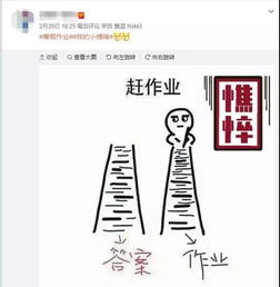 终于忍不住想问：应届哲学硕士终究是怎样失业的？