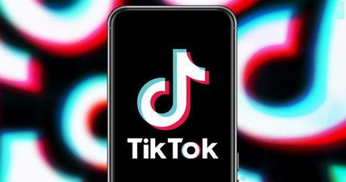 TikTok国际版标识_tiktok广告素材