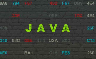 java业务表是什么东西