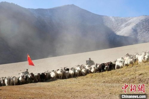 西藏阿里日土日土镇天气预报